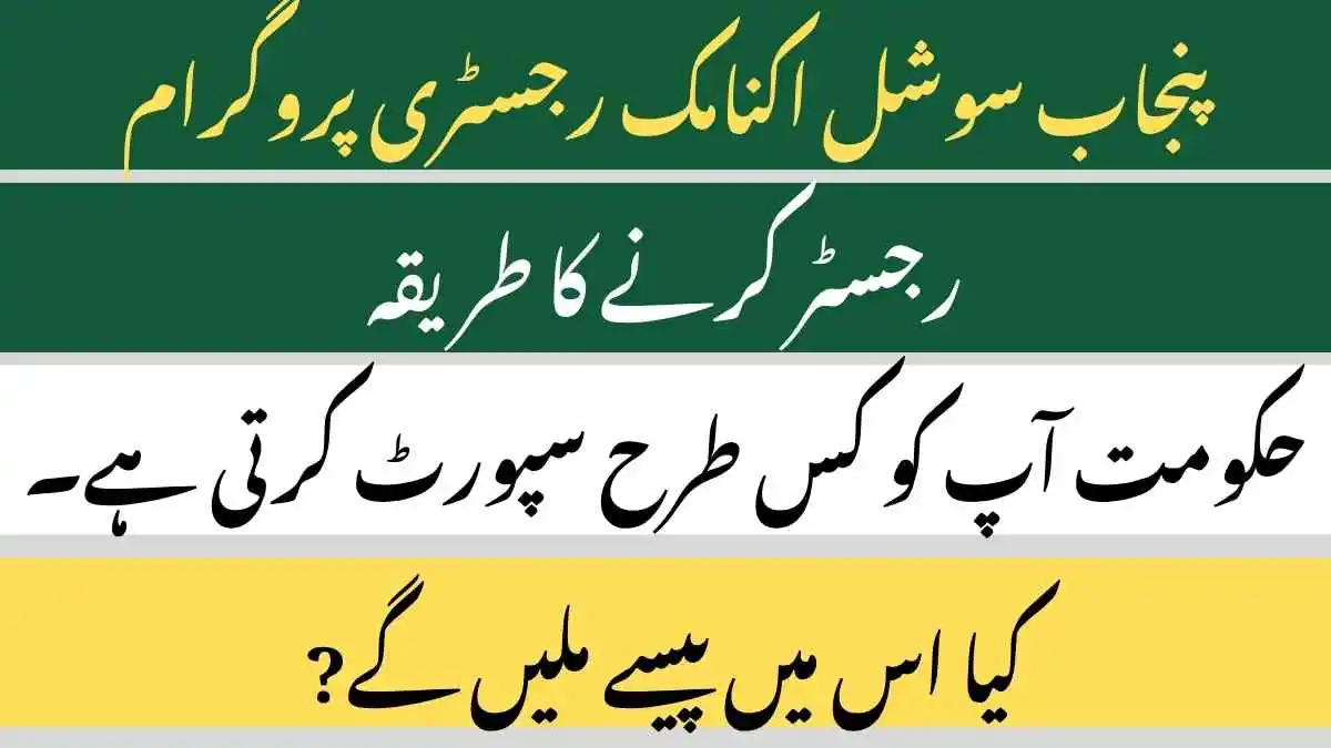 How To Register Punjab Socio-Economic Registry Program 2025